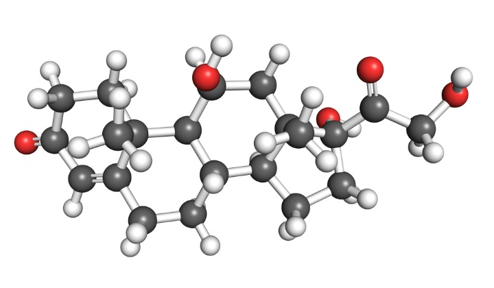 cortisol molecule