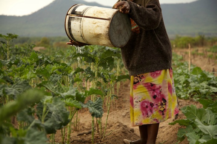 collecting water