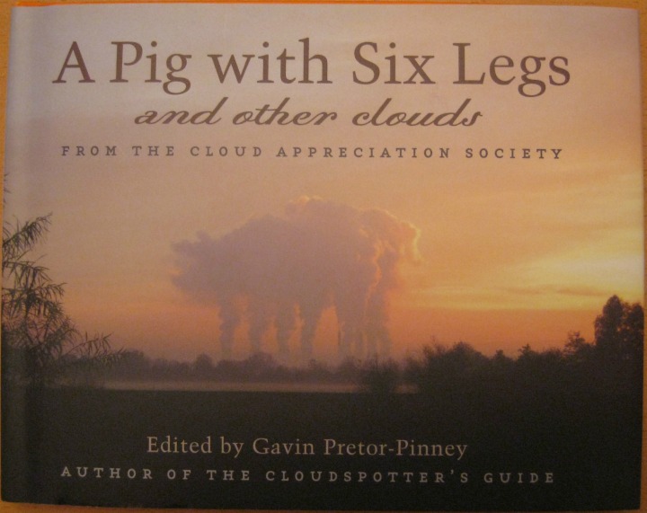 a pig with six legs and other clouds book